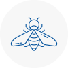 Bee Nest Removal Littlehampton