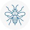 Littlehampton Hornet Nest Removals