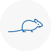 Mice Exterminators In Littlehampton