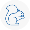 Littlehampton Rodent Removals